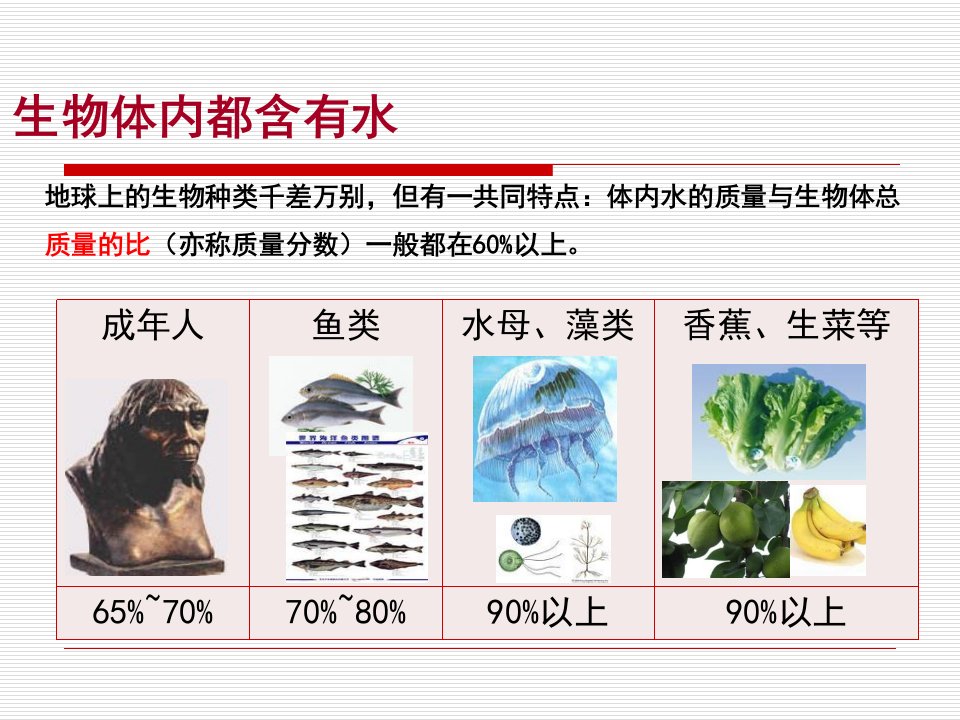 水分子的变化PPT课件1