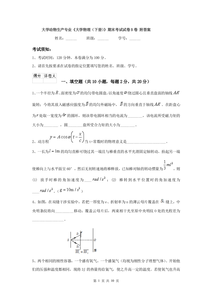 大学动物生产专业大学物理下册期末考试试卷B卷-附答案