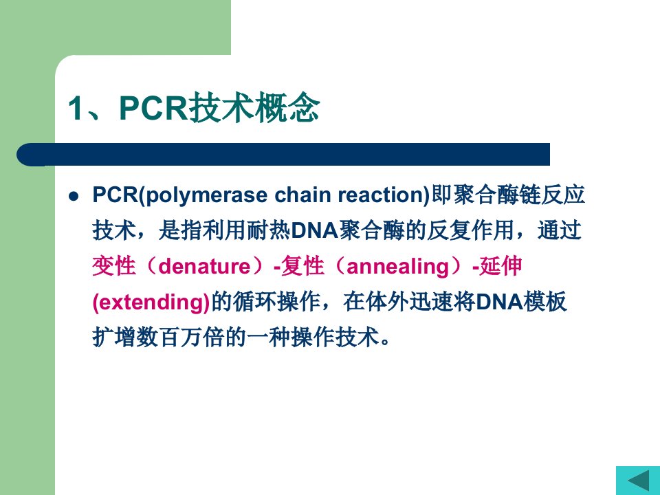 PCR技术