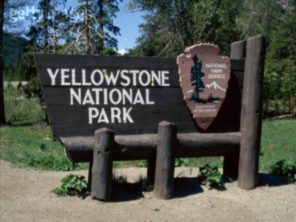 Yellowstone