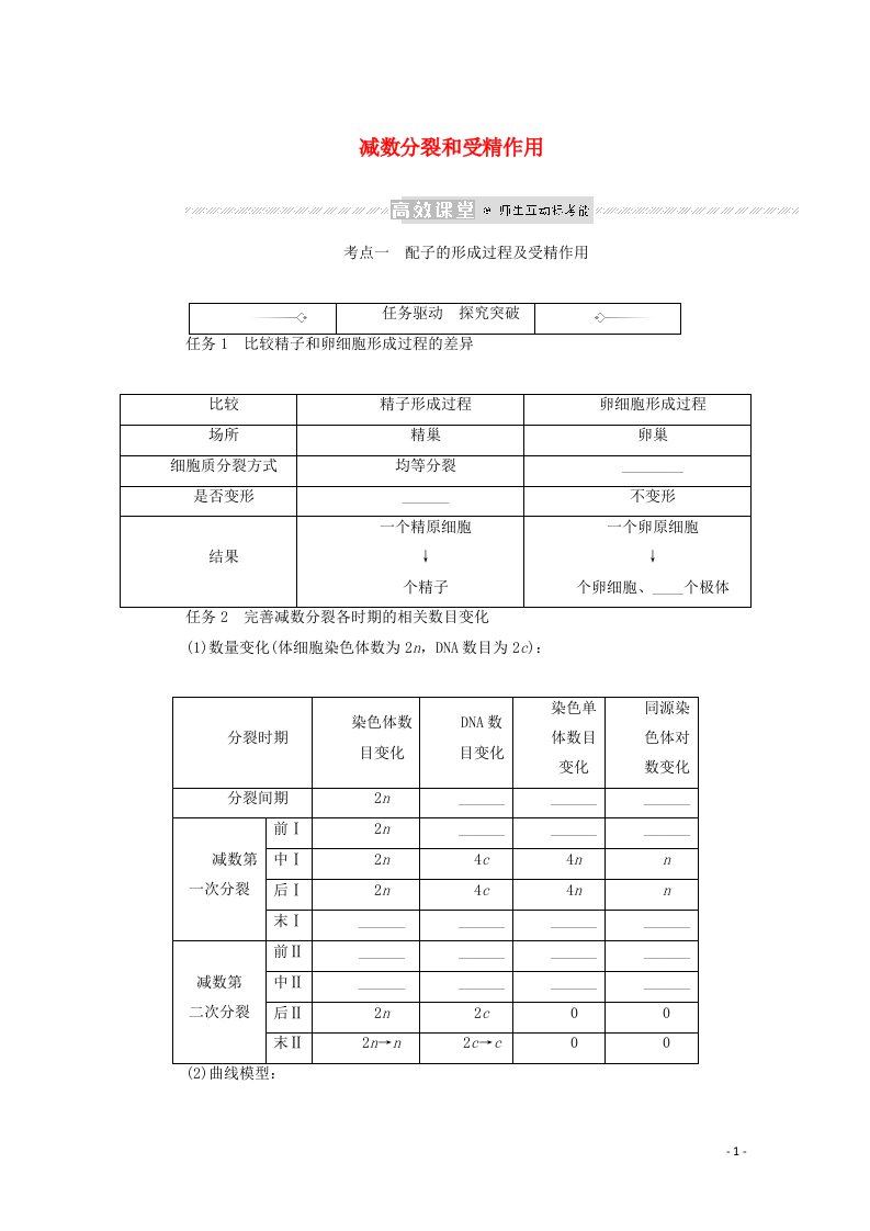 2022学年高考生物一轮复习第四单元细胞的生命历程2减数分裂和受精作用探究案含解析新人教版必修1