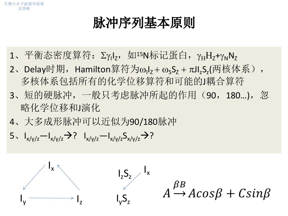 【PPT】-蛋白质核磁脉冲序列分析