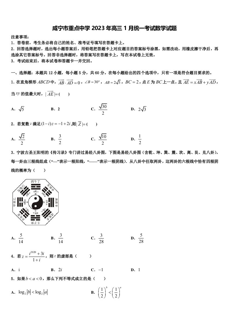 咸宁市重点中学2023年高三1月统一考试数学试题含解析