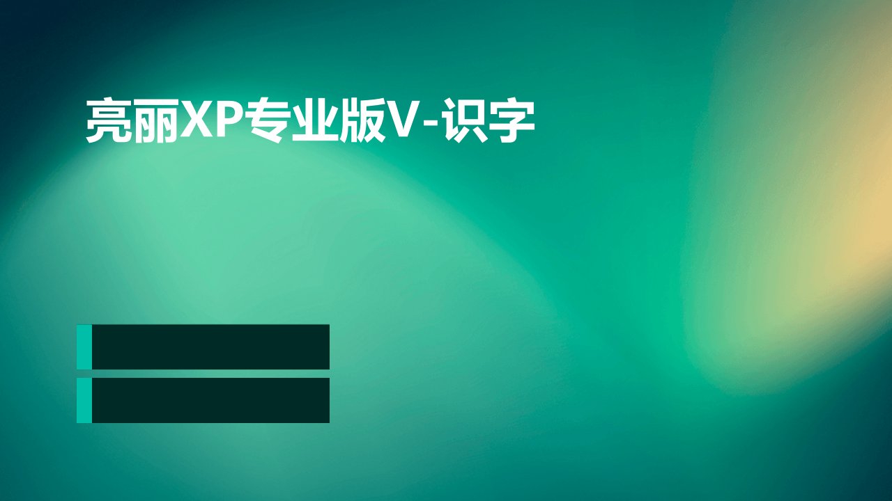 亮丽XP专业版V-识字