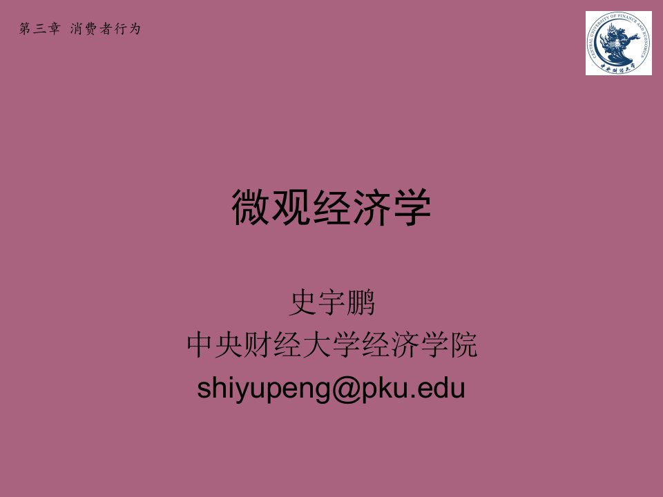 微观经济学第三章消费者行为ppt课件