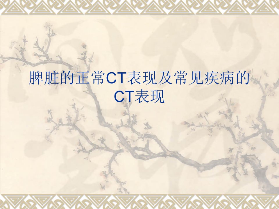 脾脏的正常与异常CT表现.ppt