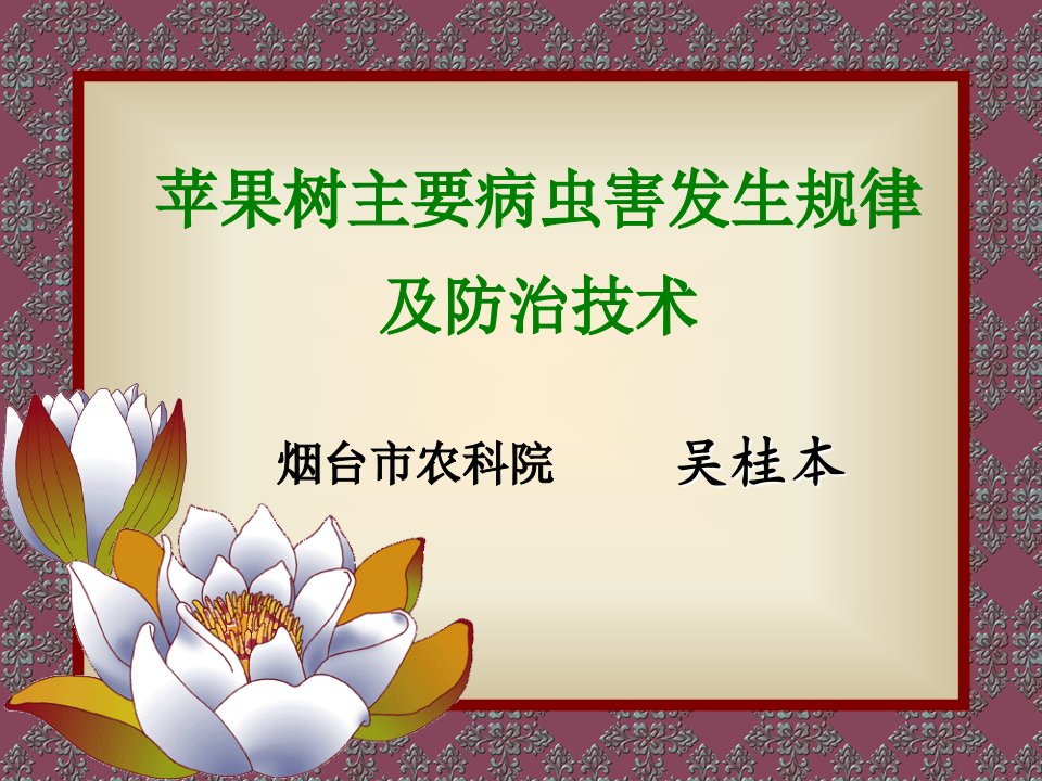 农业种植业技术培训课件-苹果主要病虫害发生规律及其防治技术