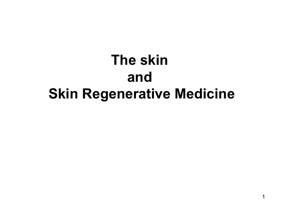 Skin皮肤英文课件汕头大学医学院