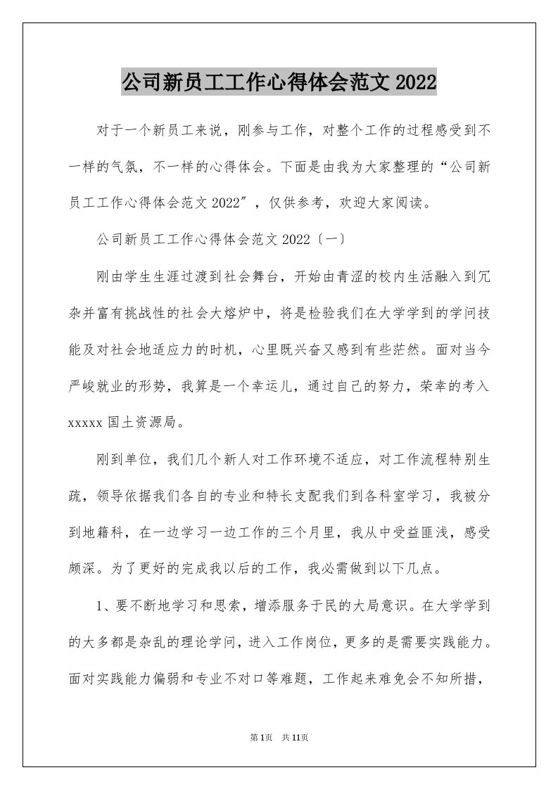 公司新员工工作心得体会范文2022