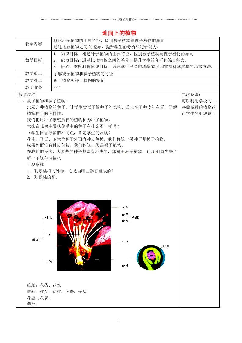 江苏省苏州市工业园区东沙湖学校初中七年级生物下册