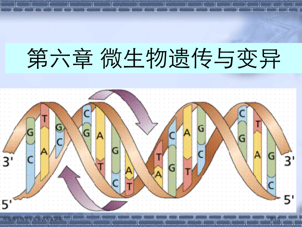 环境微生物学专业知识专家讲座