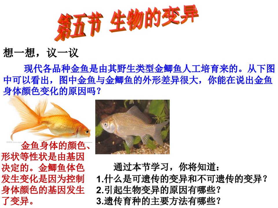 八下生物7.2.5生物的变异课件