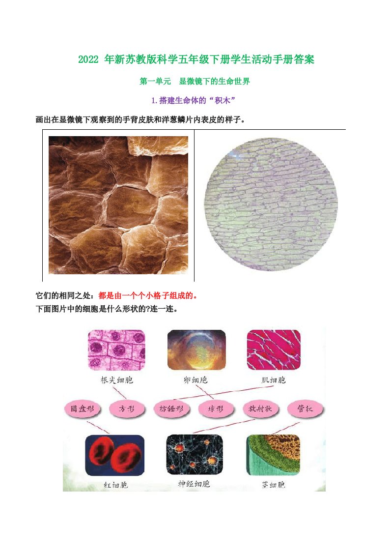 新苏教版科学五年级下册学生活动手册答案(新整理版)