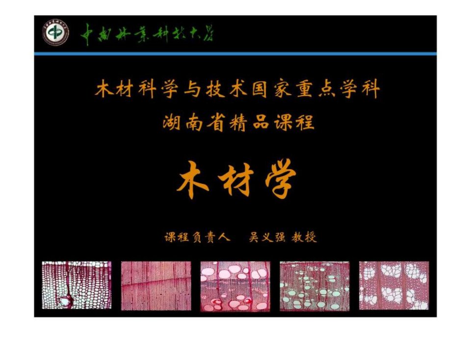 木材学第一章.ppt