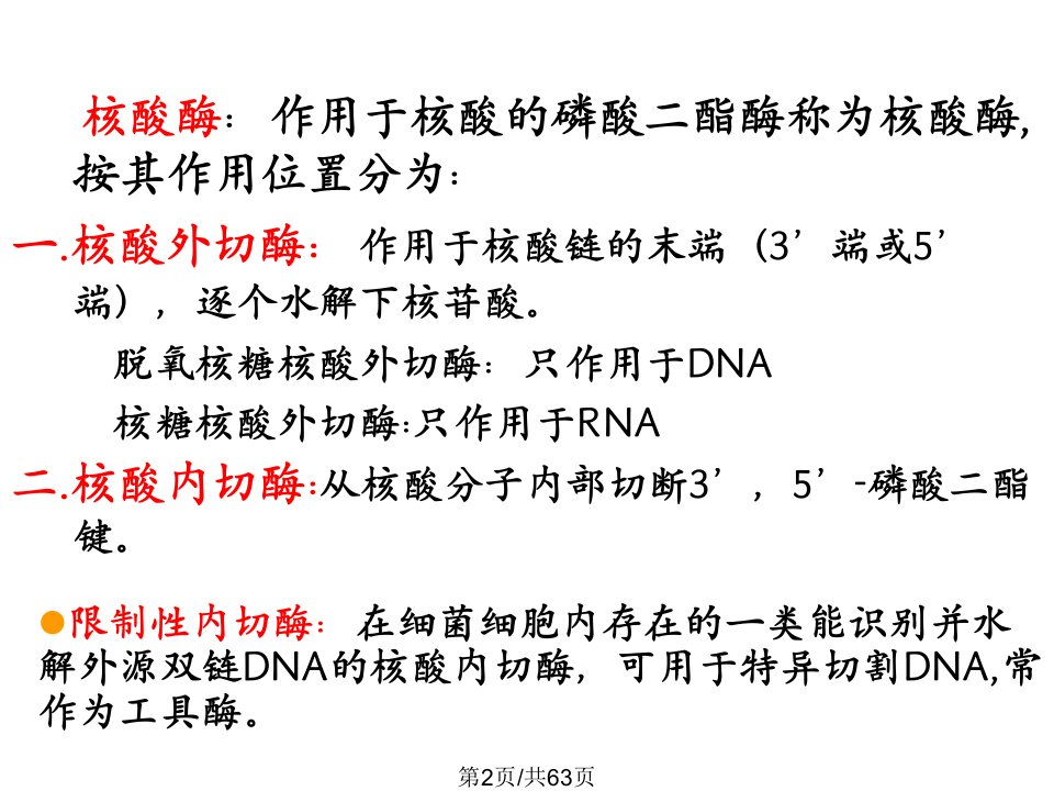 核酸代谢2学习