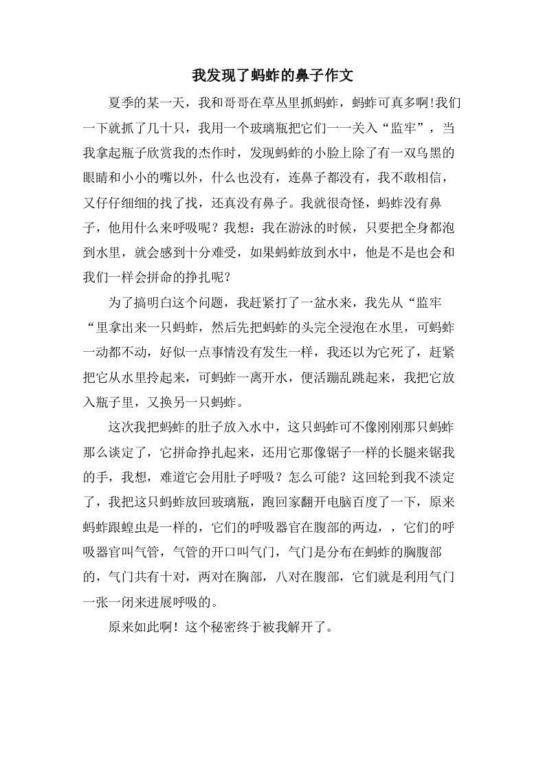 我发现了蚂蚱的鼻子作文