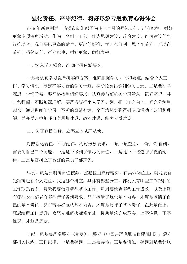 强化责任严守纪律树好形象专题教育心得体会