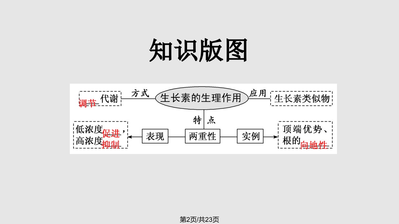 生长素的生理作用高三一轮复习