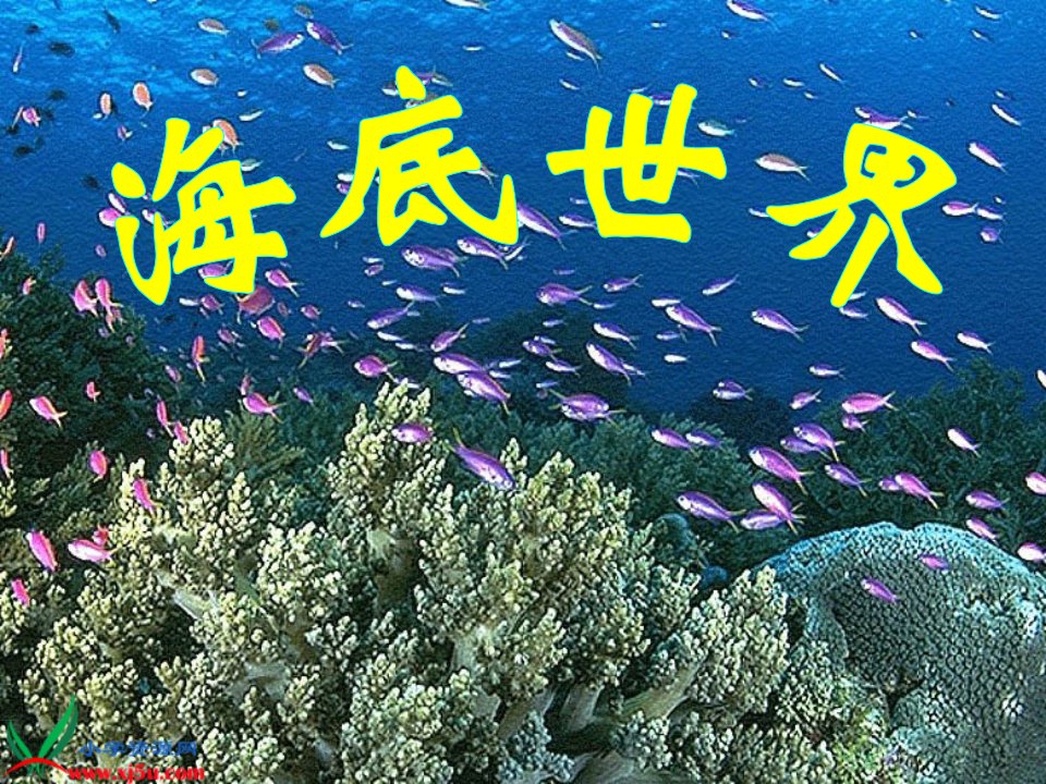 海底世界之一课件(苏教版三年级语文下册课件)