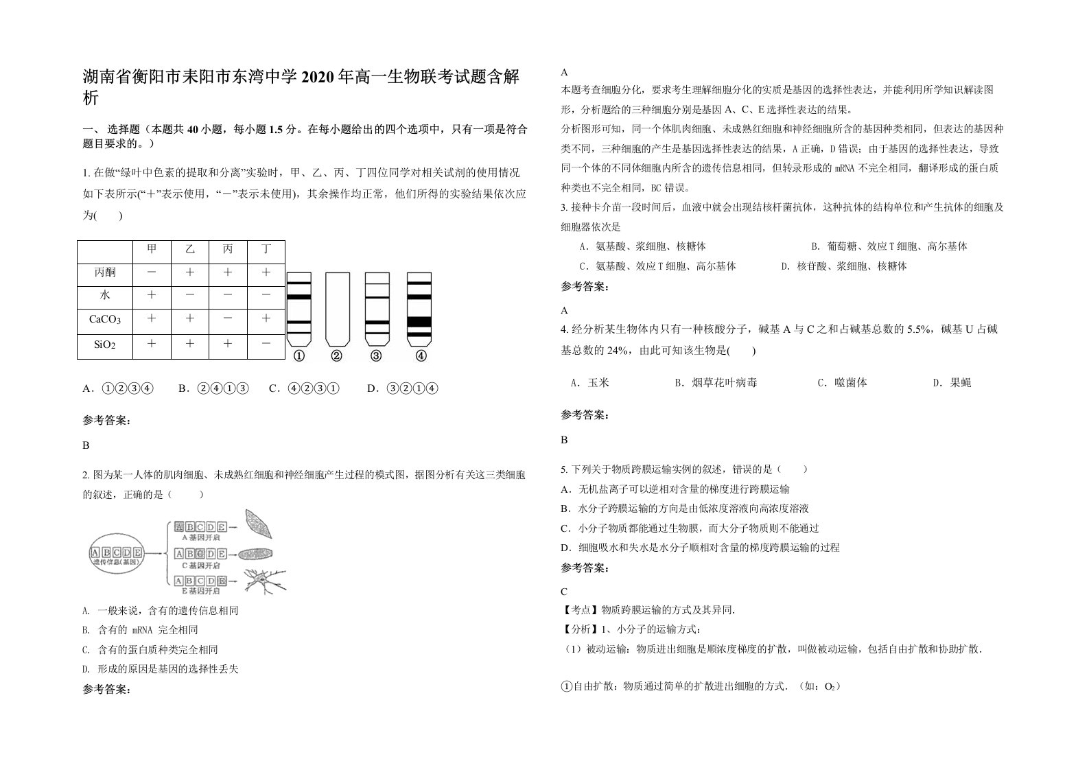 湖南省衡阳市耒阳市东湾中学2020年高一生物联考试题含解析