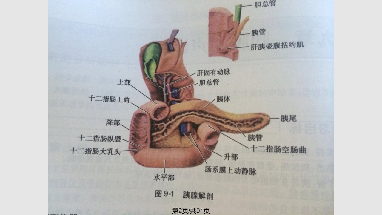 胰腺超声诊断修改后