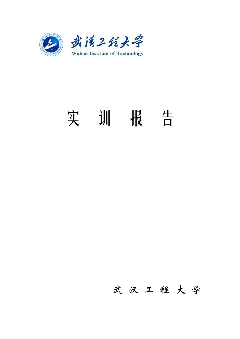 医疗行业-武汉工程大学化工与制药学院实训报告