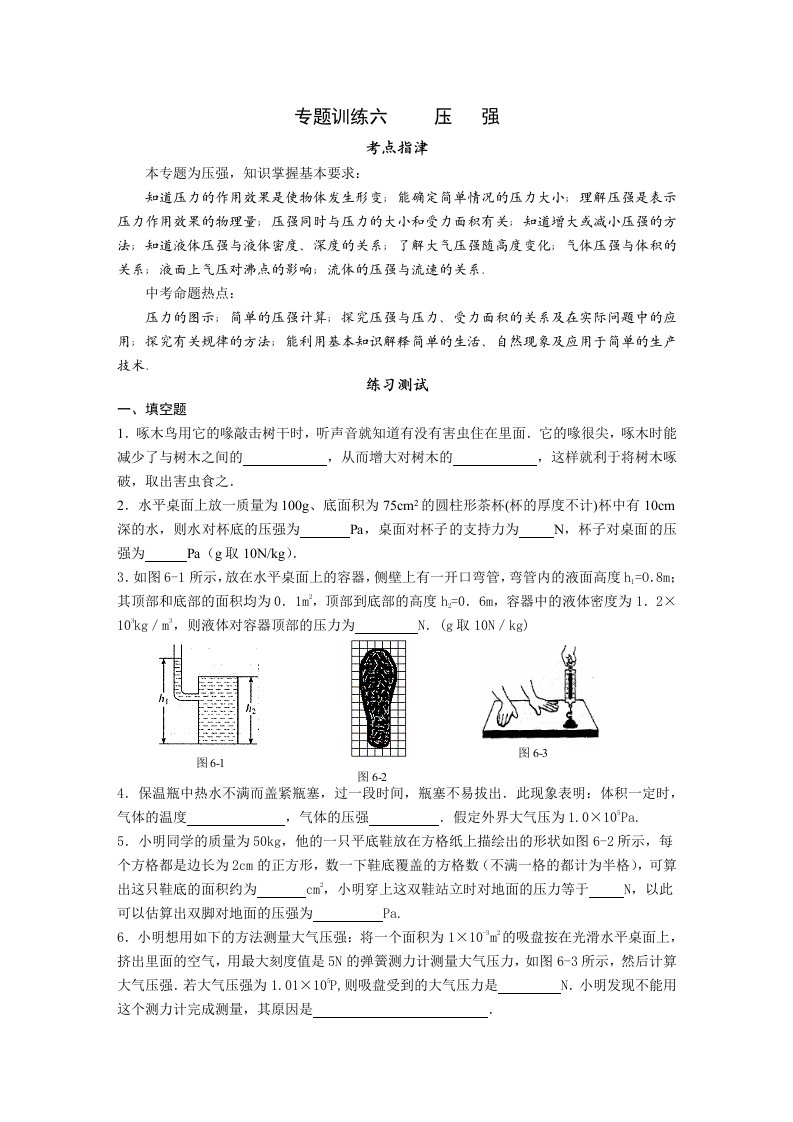 中考物理压强专题训练及答案