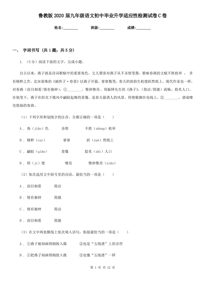 鲁教版2020届九年级语文初中毕业升学适应性检测试卷C卷