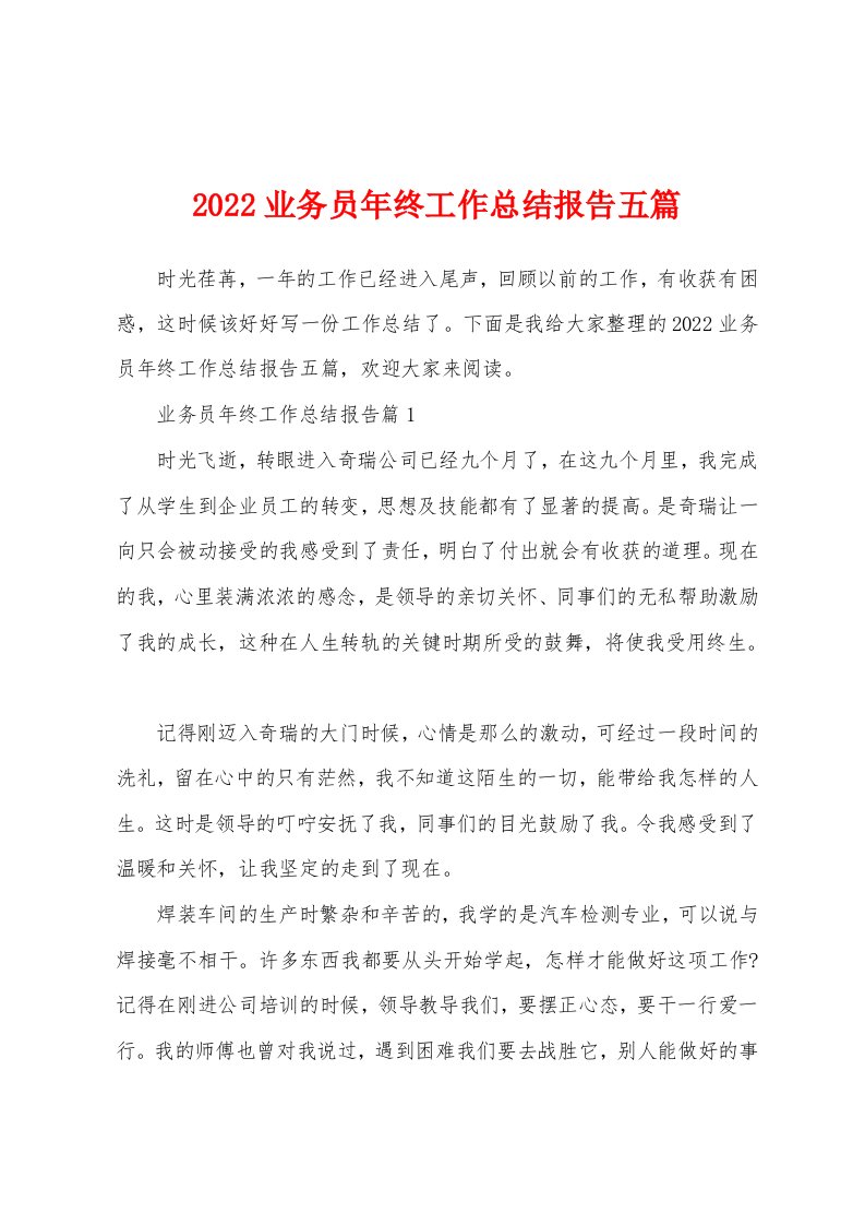 2022业务员年终工作总结报告五篇