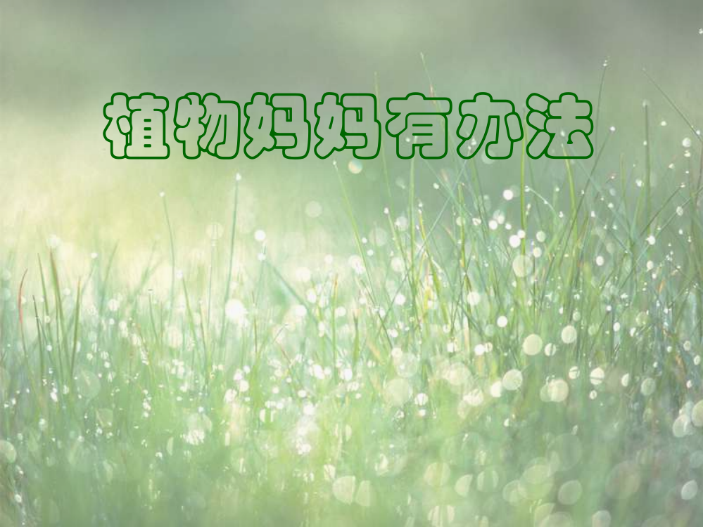 人教版小学语文第三册《植物妈妈有办法》教学课件