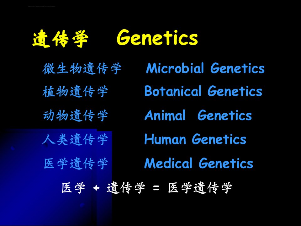 南方医科大学医学遗传学概论ppt课件