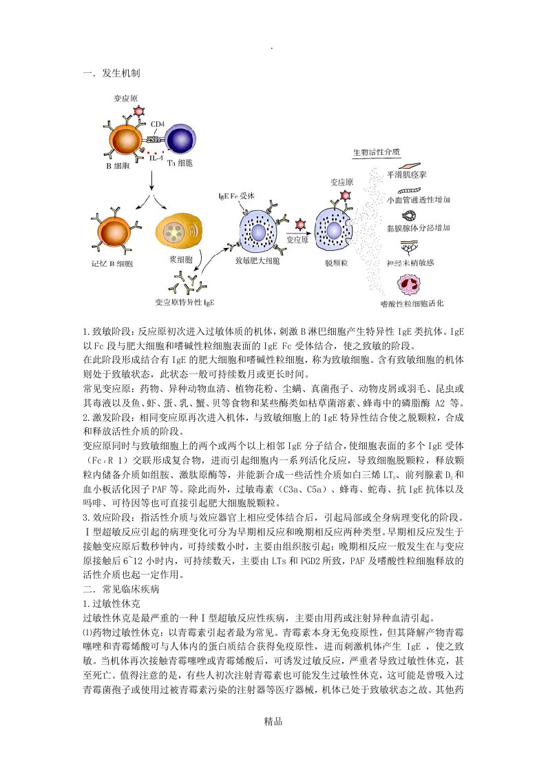 ⅰ型超敏反应的发生机制和防治原则