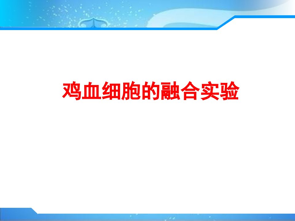 鸡血细胞的融合实验