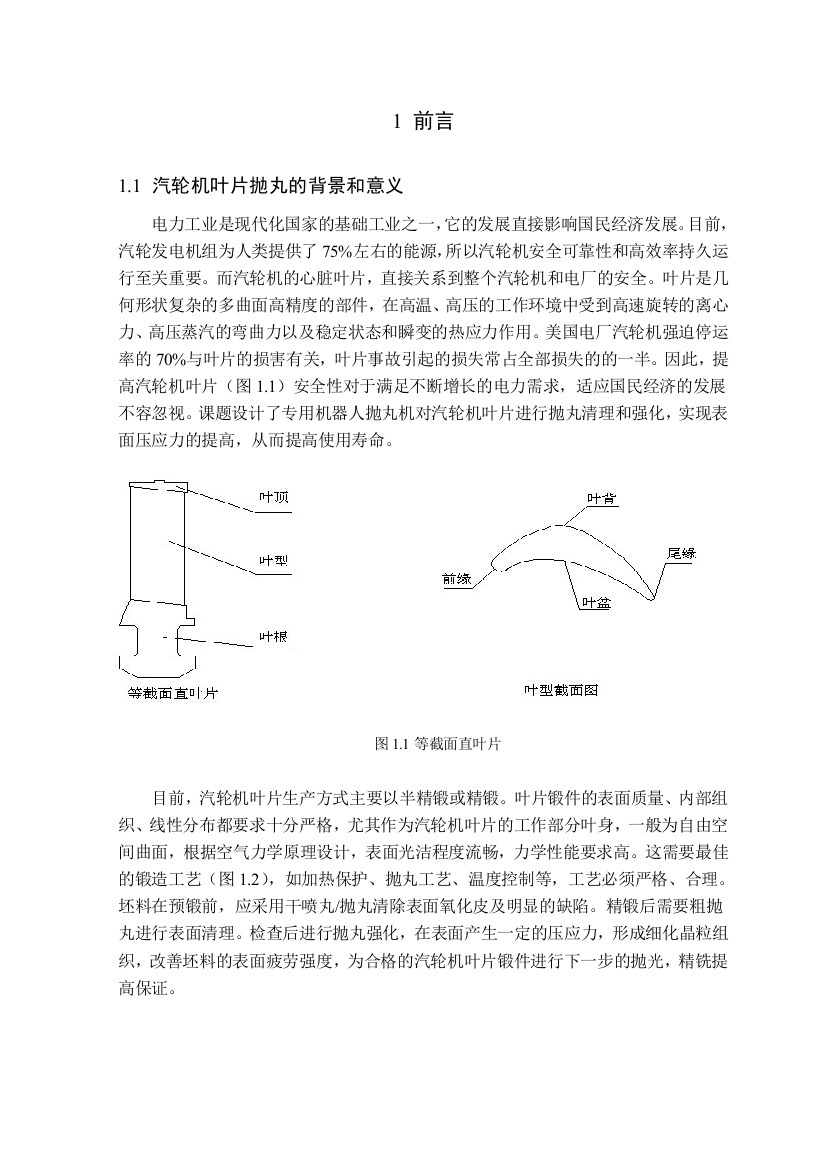 毕业论文(设计)--发电机组汽轮机叶片表面抛丸清理工艺与设备设计