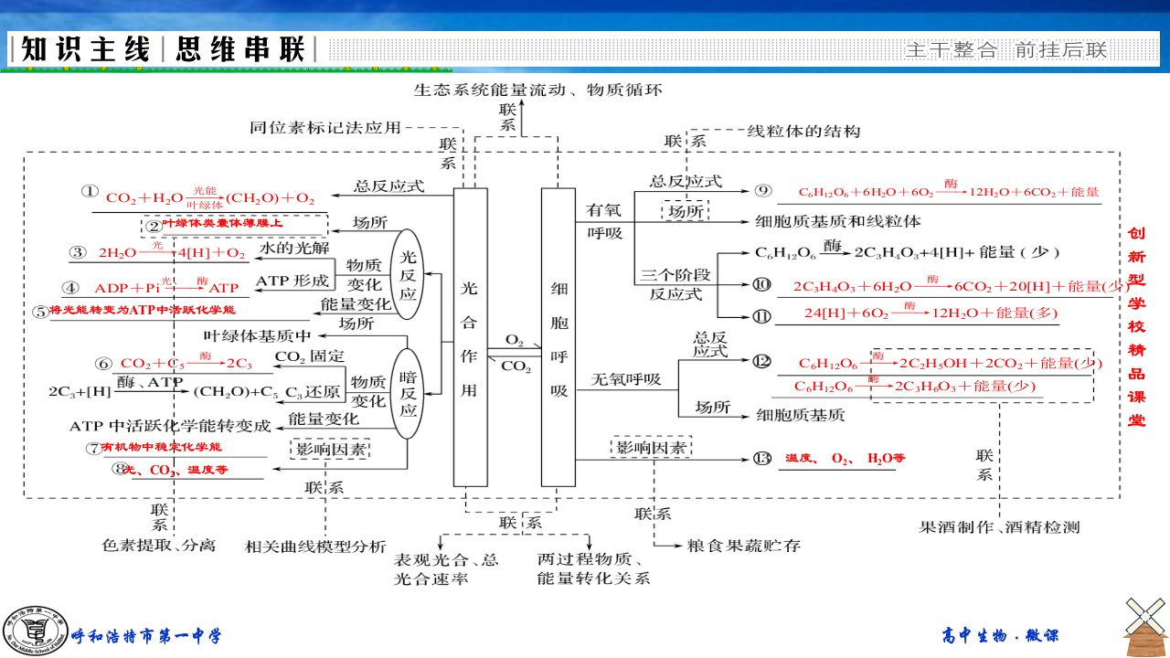 一轮复习光合作用与呼吸作用的关系