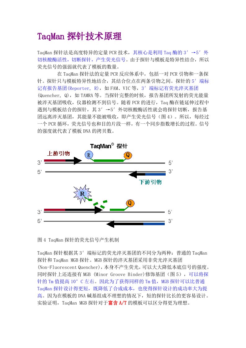 taqman探针技术原理