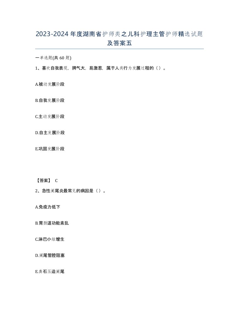 2023-2024年度湖南省护师类之儿科护理主管护师精选试题及答案五