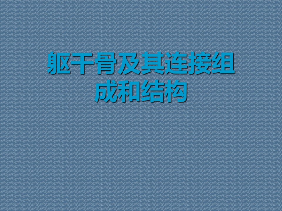 躯干骨及其连接组成和结构