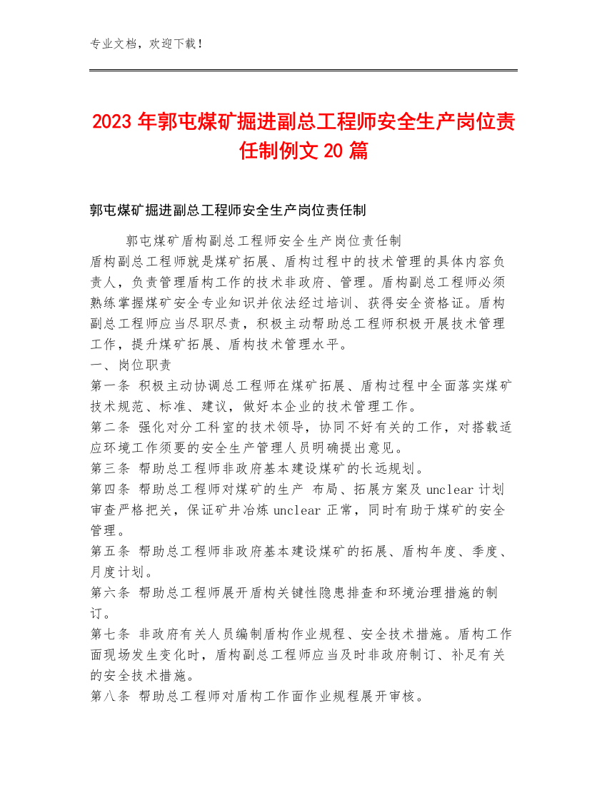 2023年郭屯煤矿掘进副总工程师安全生产岗位责任制例文20篇