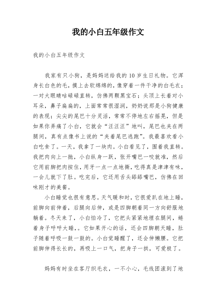 我的小白五年级作文