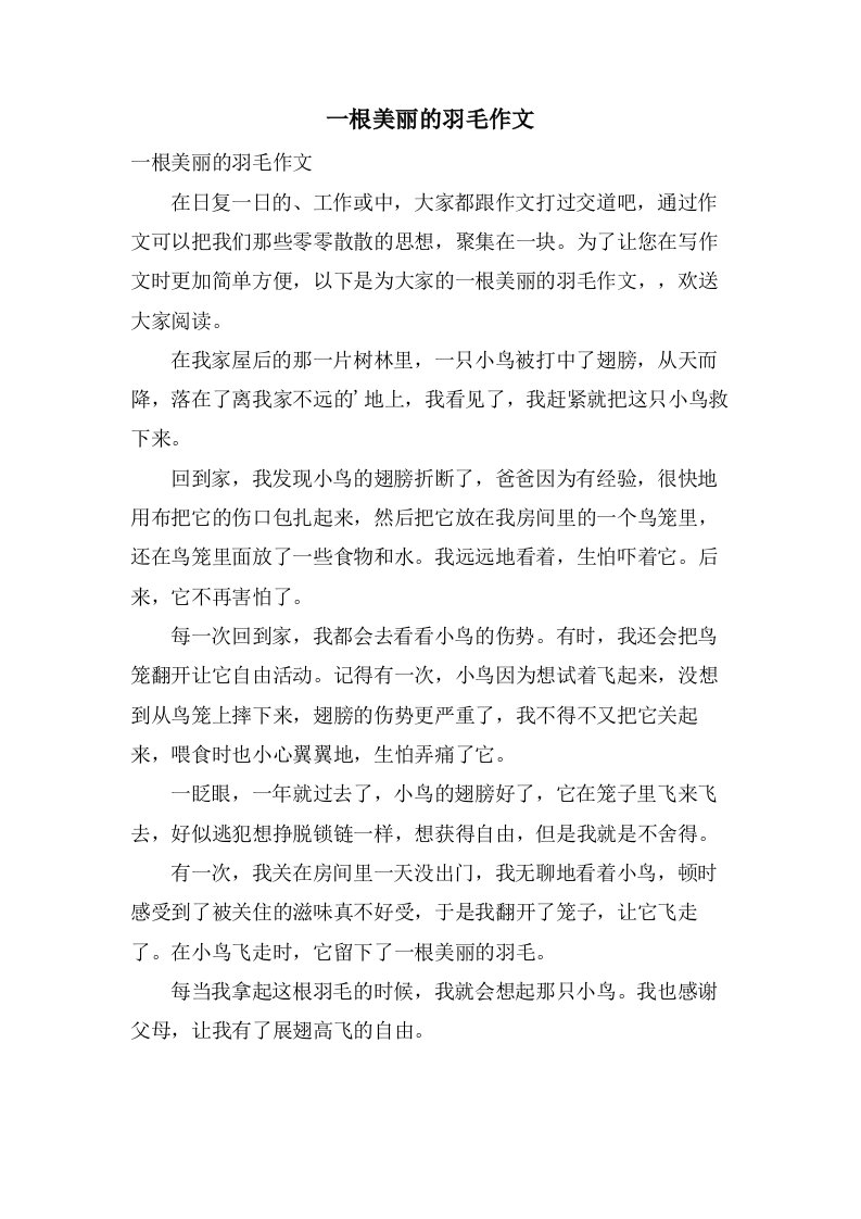 一根美丽的羽毛作文