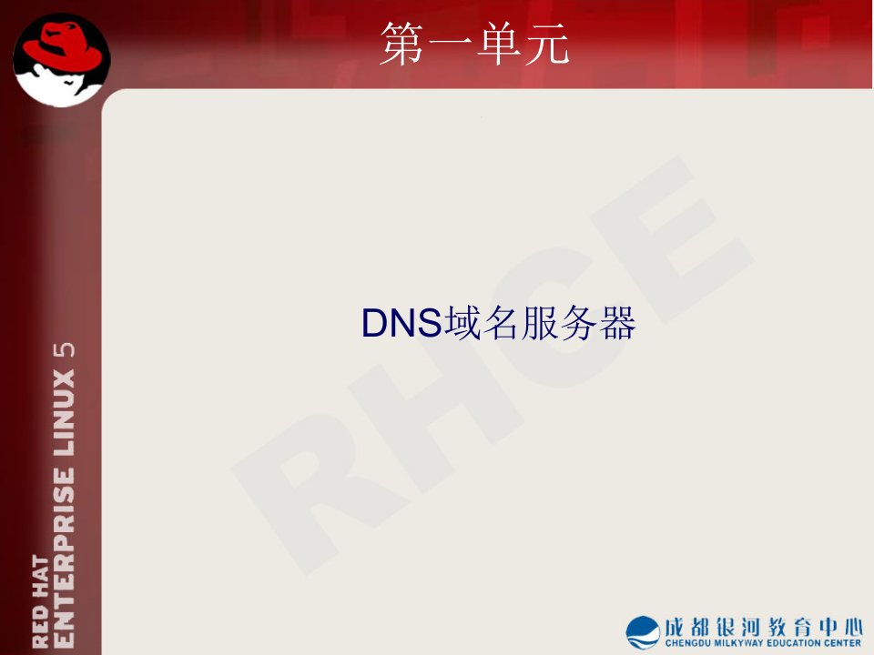 《DNS域名服务器》PPT课件