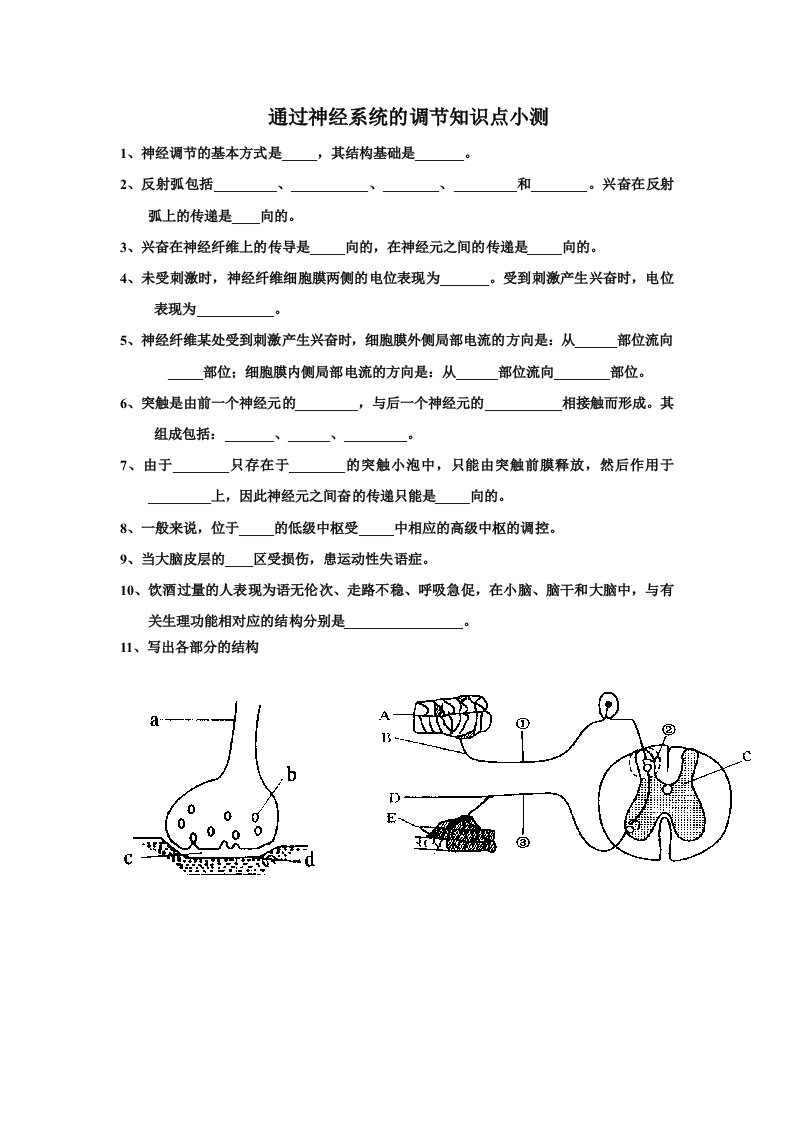 通过神经系统的调节知识点小测