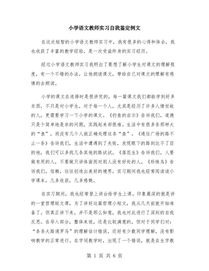 小学语文教师实习自我鉴定例文