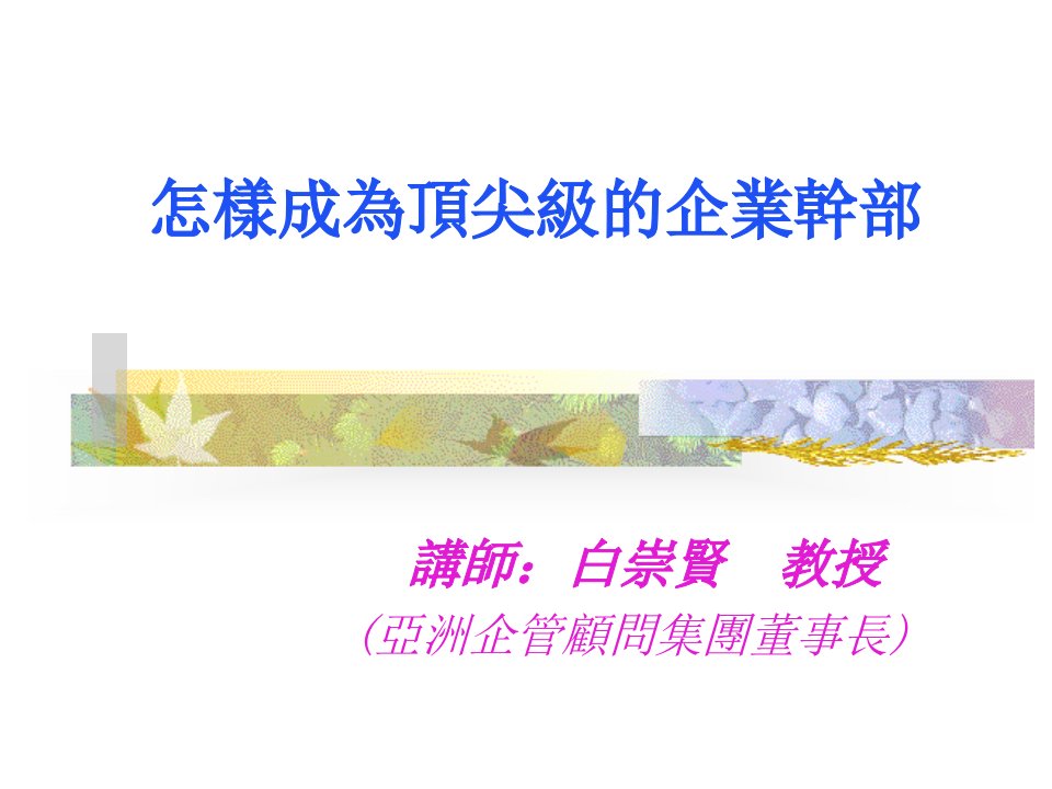 怎样成为顶尖级的企业干部PPT35(1)