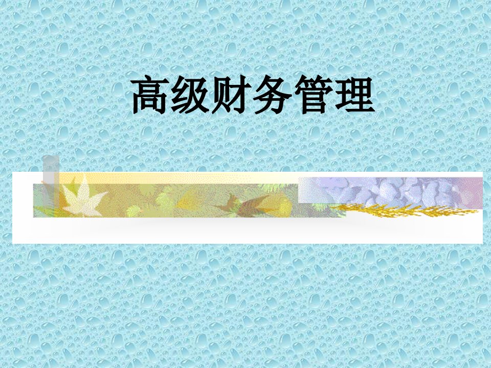 高级现代管理学第一章高级财务管理概述ppt课件