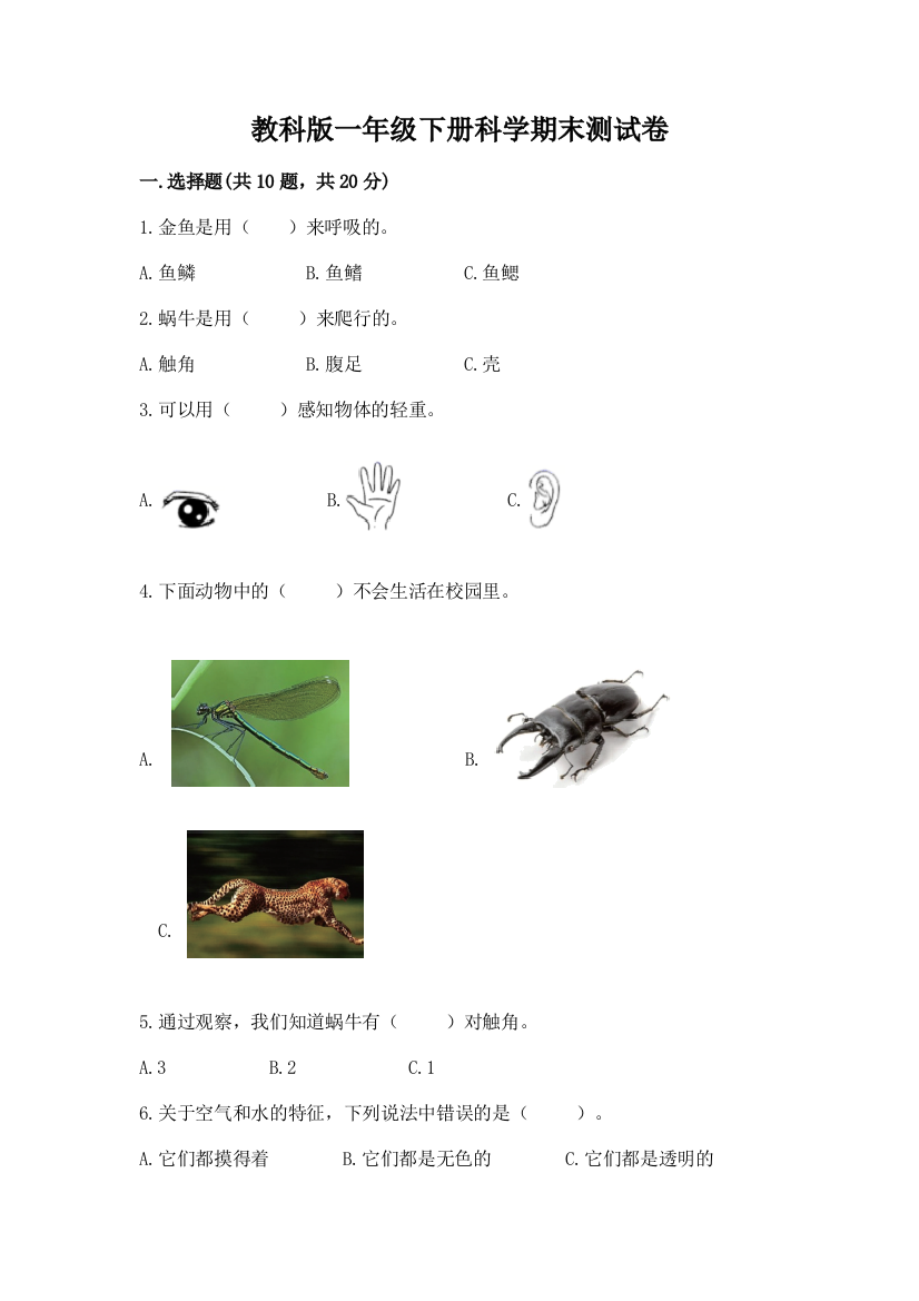 教科版一年级下册科学期末测试卷精品（必刷）