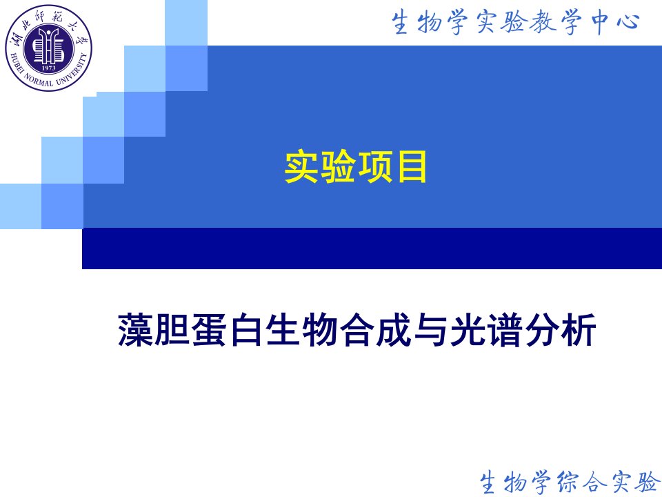 藻胆蛋白生物合成与光谱分析课件