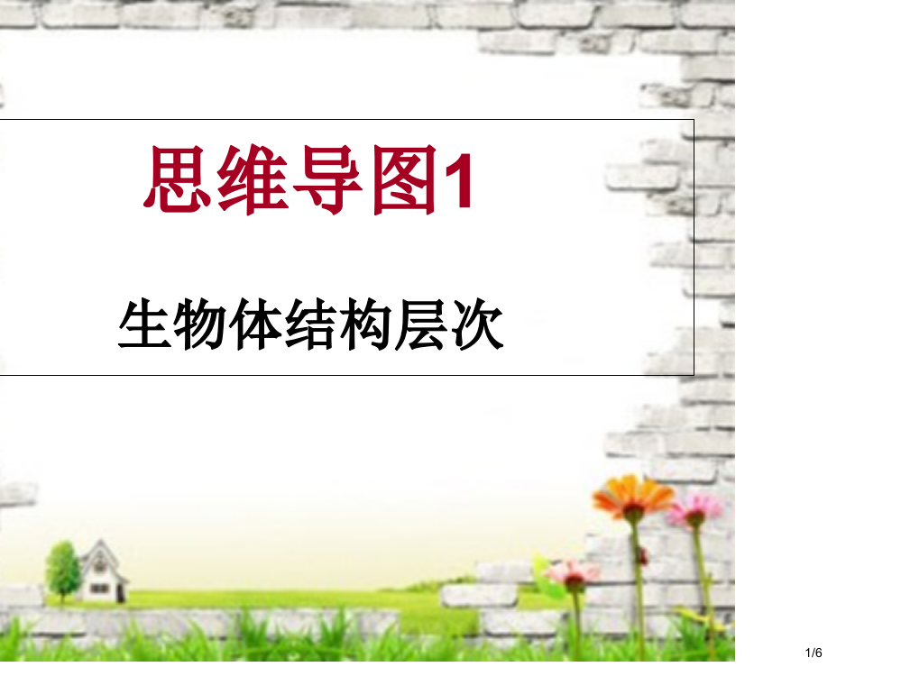 生物体结构层次思维导图省公开课金奖全国赛课一等奖微课获奖PPT课件