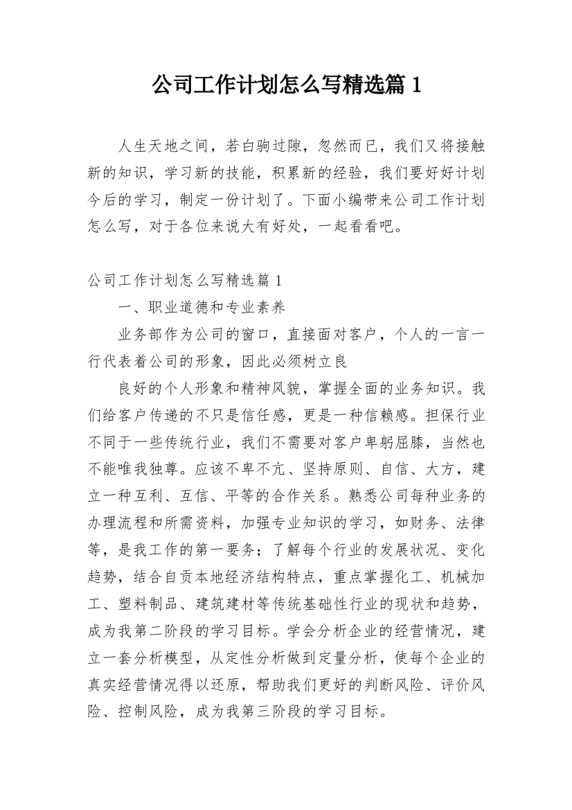 公司工作计划怎么写精选篇1